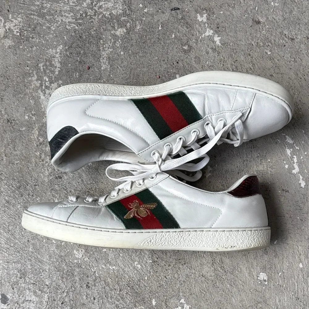 Gucci acel bee sneaker